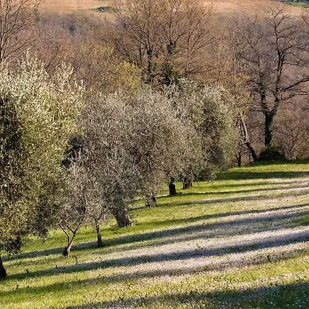 La Saracina