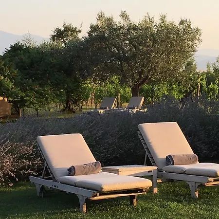 Hotel La Saracina 2*