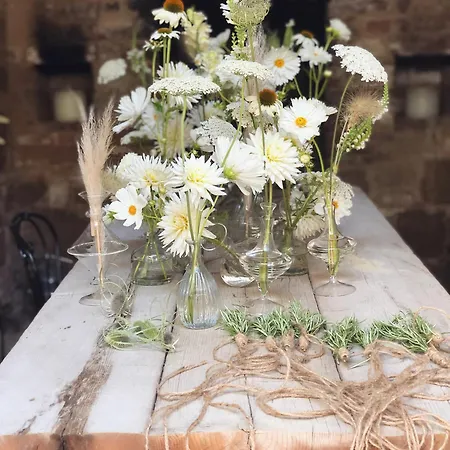 拉萨雷西娜酒店 酒店 2*