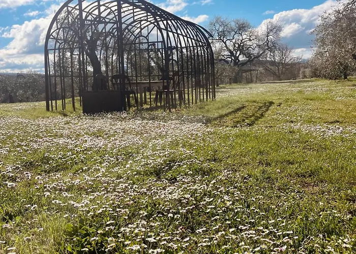 拉萨雷西娜酒店 2* 皮恩扎